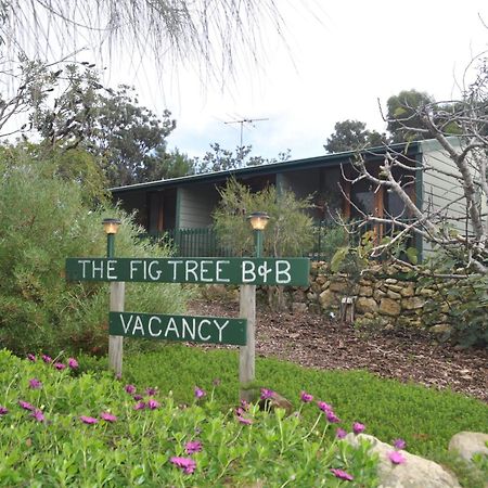 The Fig Tree B&B Baudin Beach Exterior foto