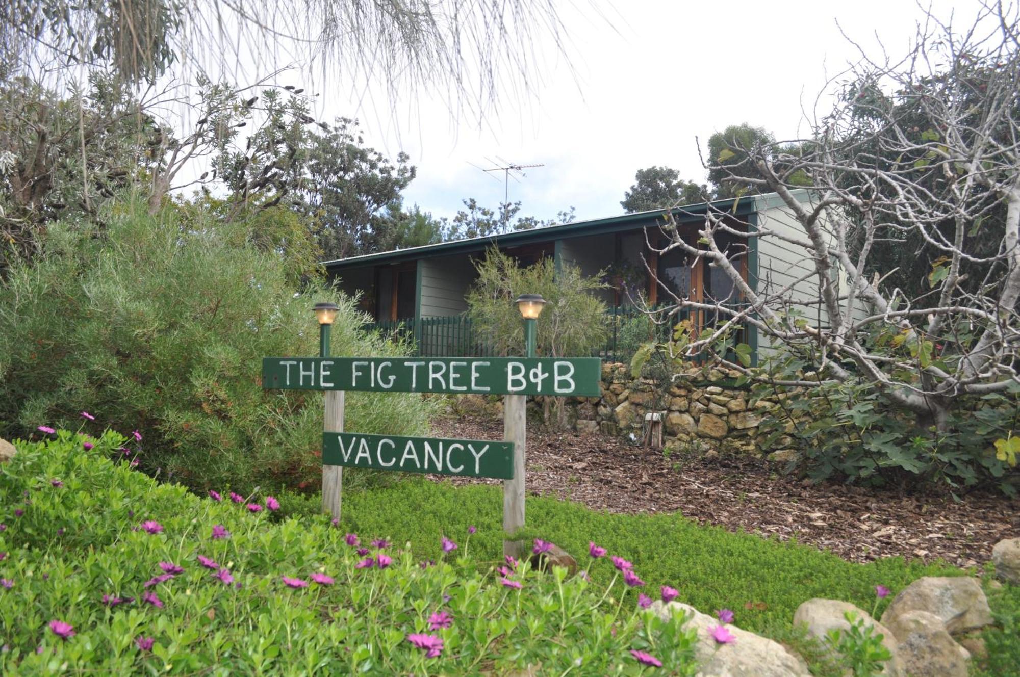 The Fig Tree B&B Baudin Beach Exterior foto